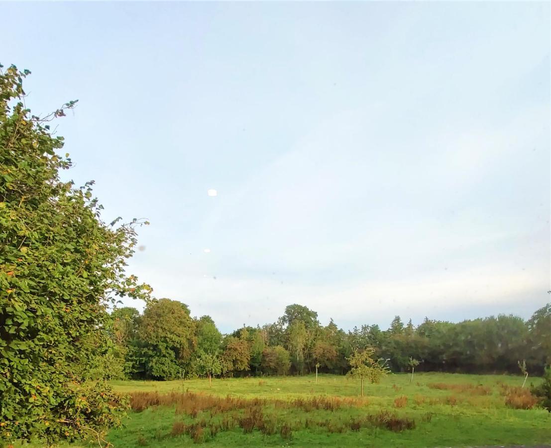 Gite Les Hirondelles - Bord De Mer Et Campagne Tracy-sur-Mer Esterno foto